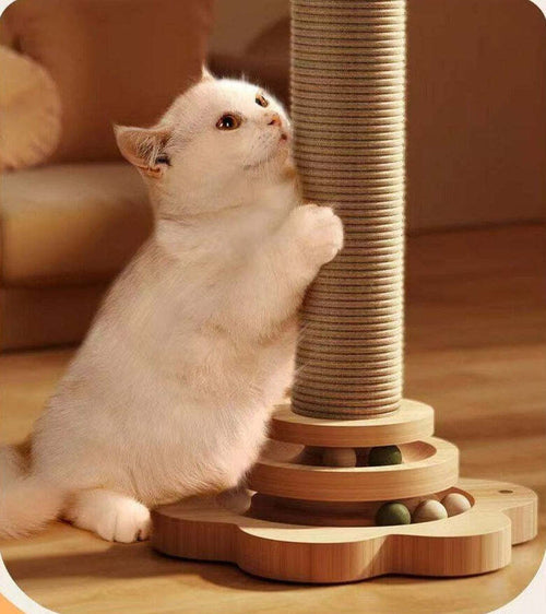 ClawJoy Post