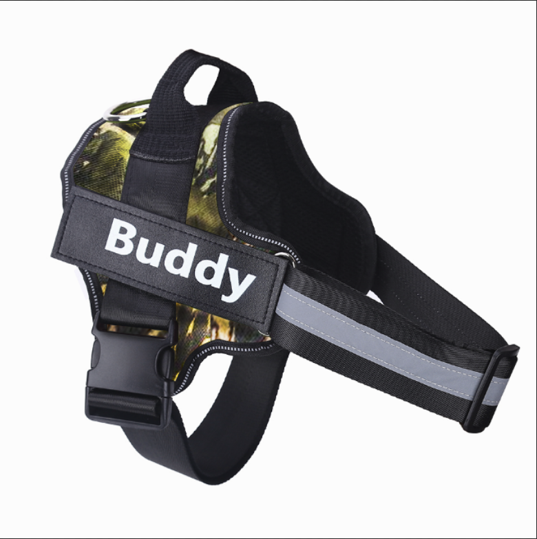 SafeTag Harness