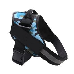 SafeTag Harness