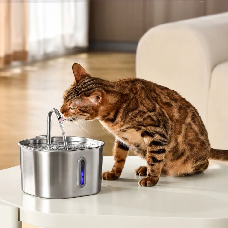 HydraPaw™