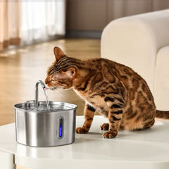 HydraPaw™