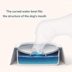 CleanSip Bowl
