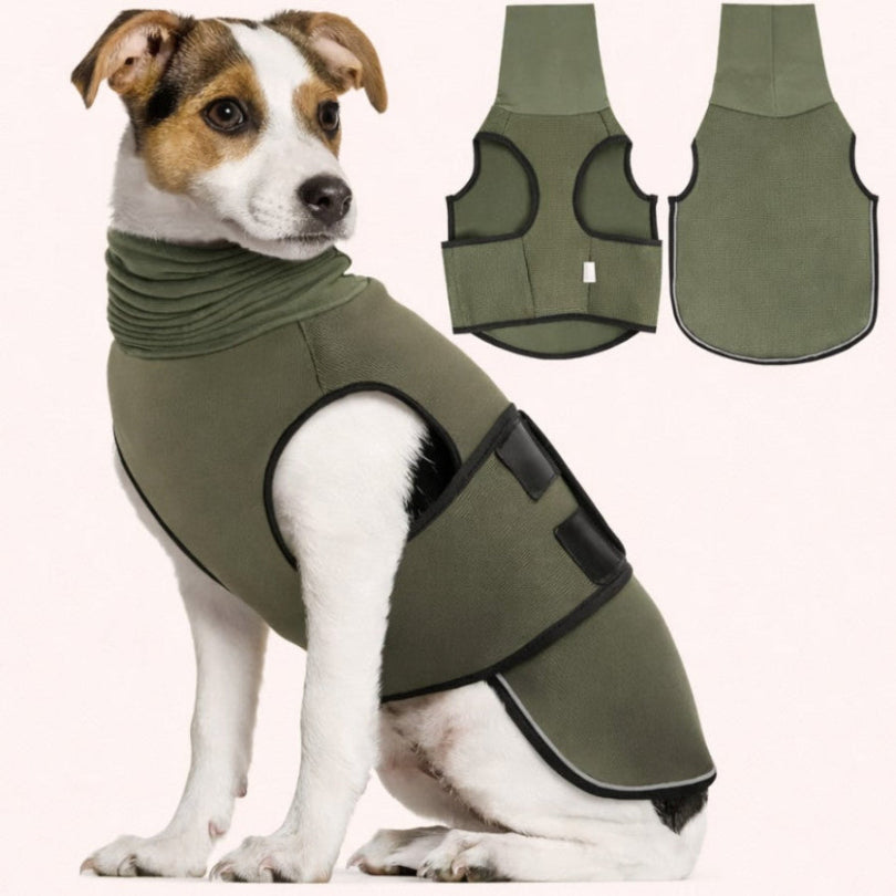 CalmPaws™