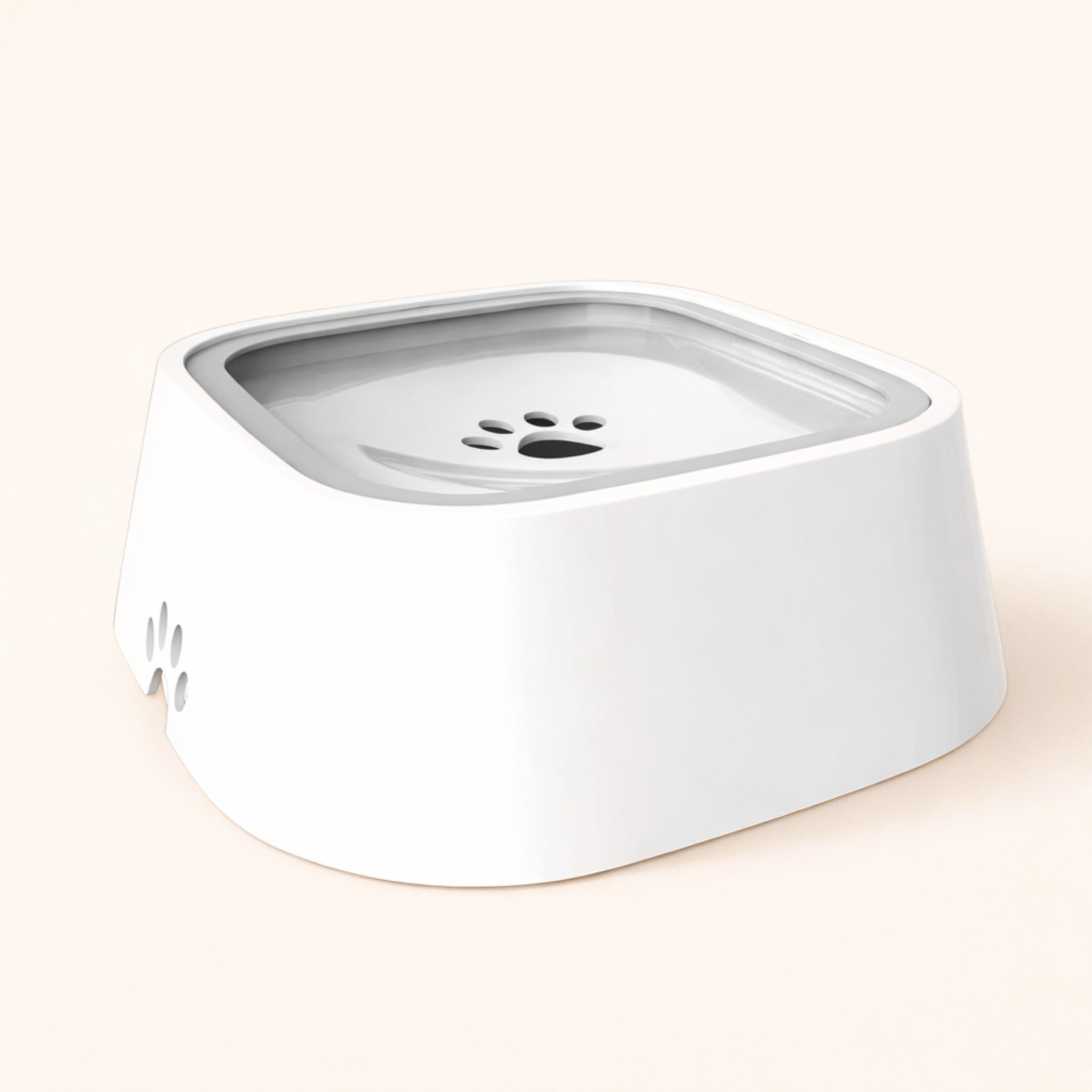 CleanSip Bowl