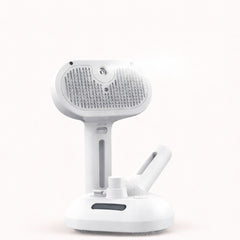 SteamGroom