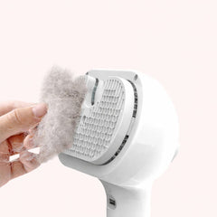 SteamGroom