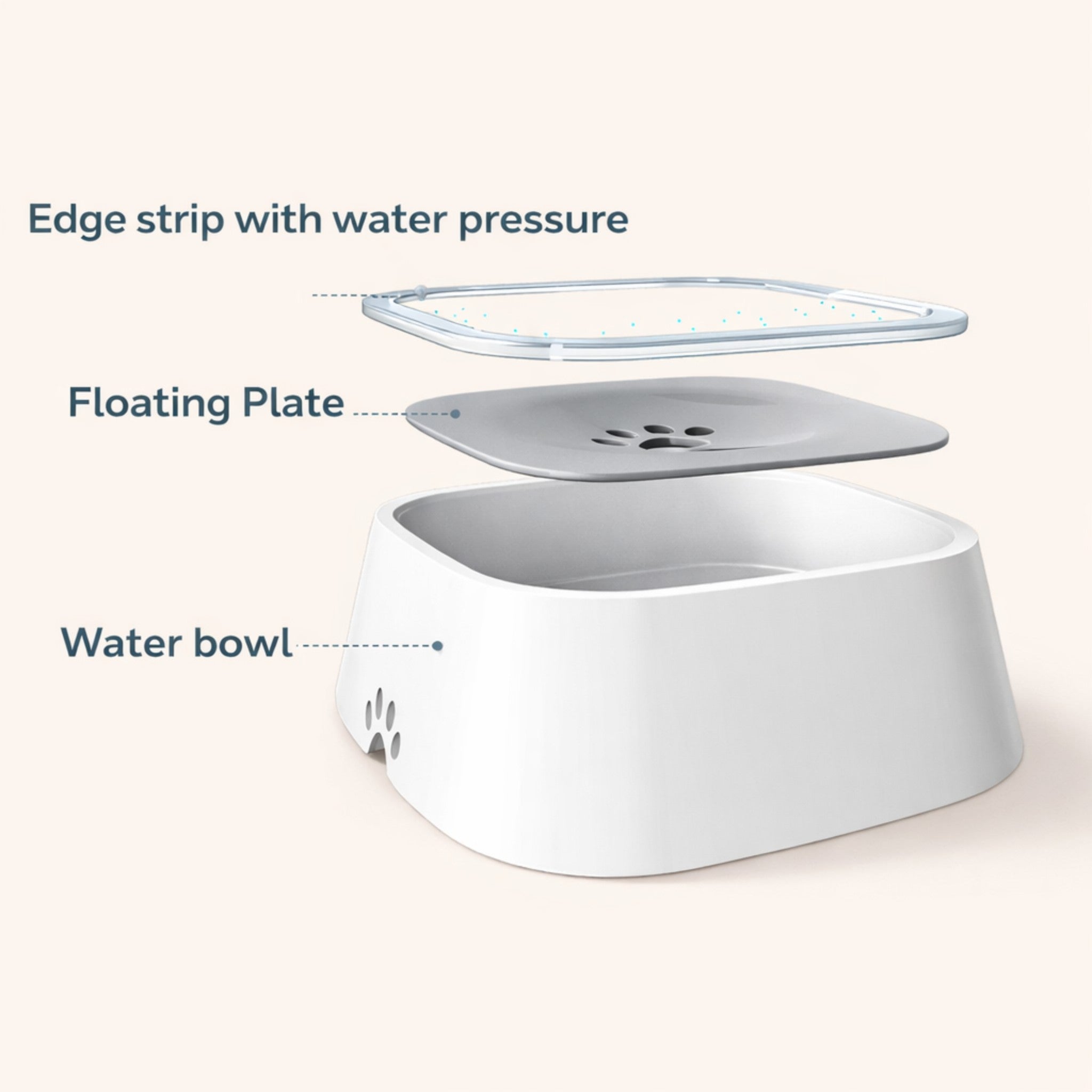 CleanSip Bowl