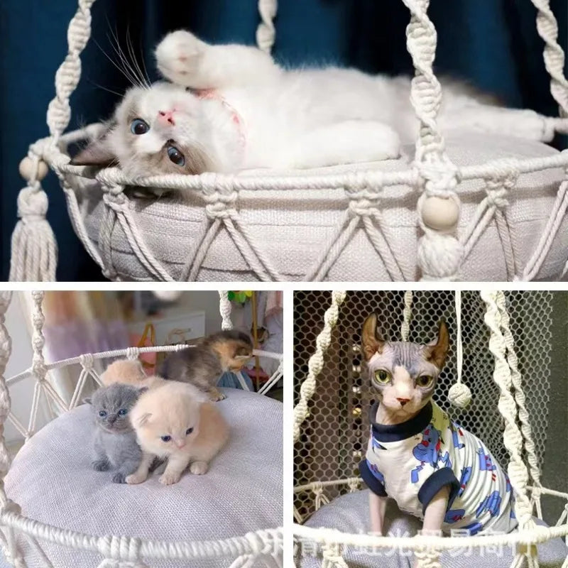 Cat's Hammock and Cushion