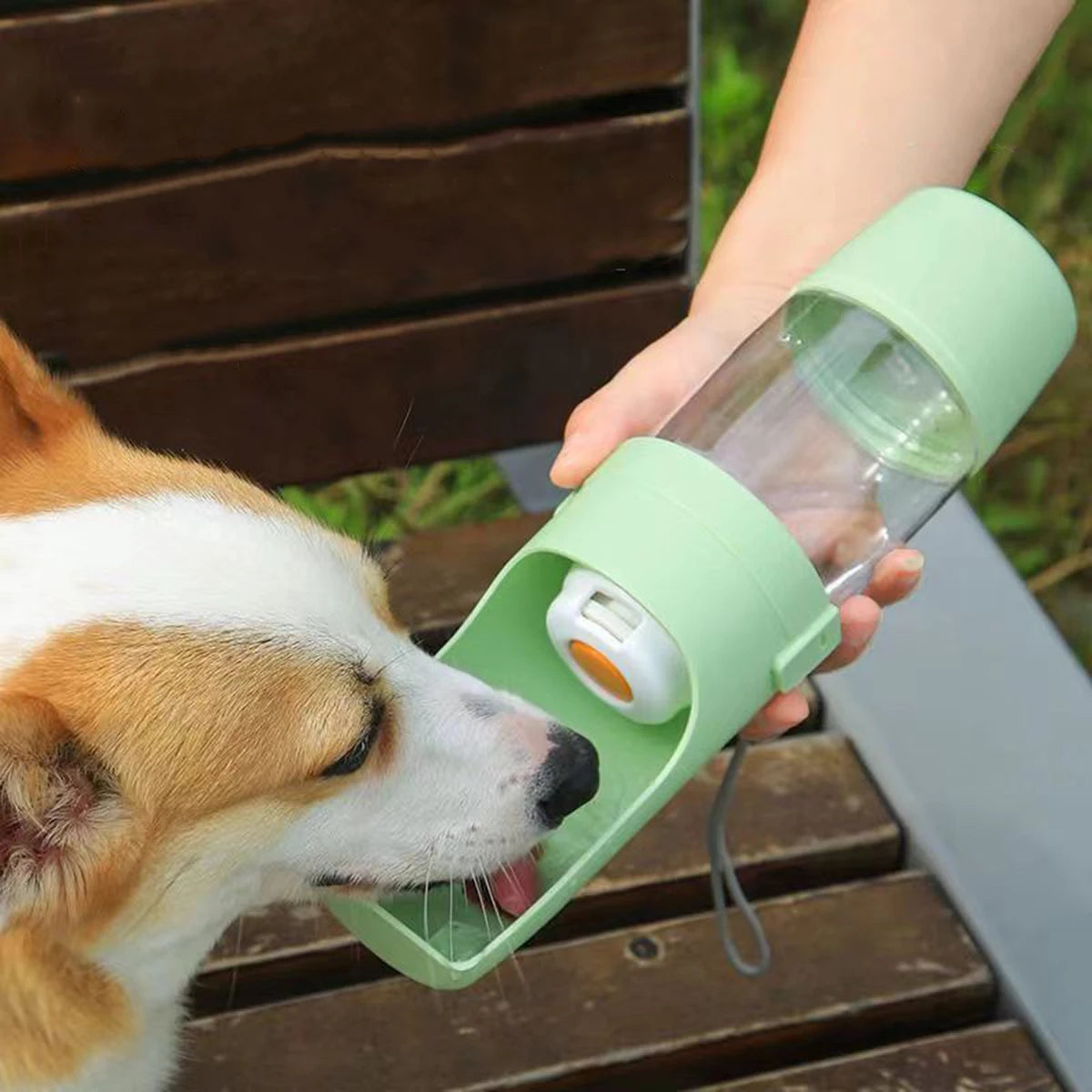 Portable Dog Water Bottle