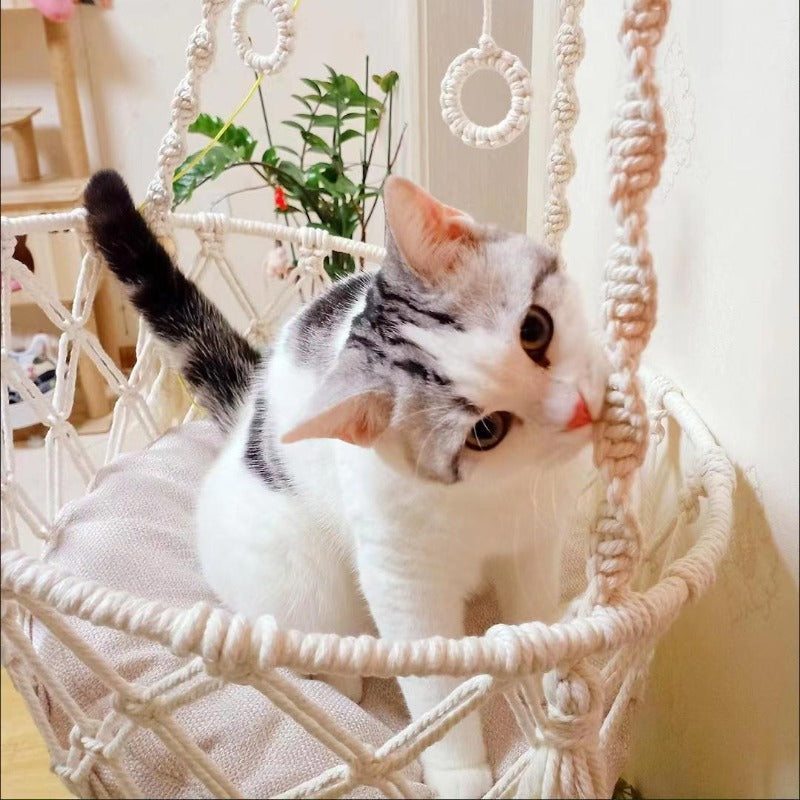 Cat's Hammock and Cushion