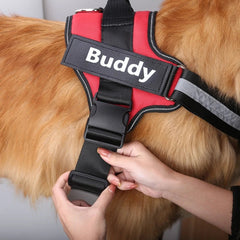 SafeTag Harness