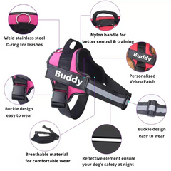 SafeTag Harness